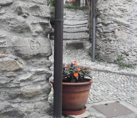 Tuschaus *